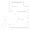 Pre-Design & Audit